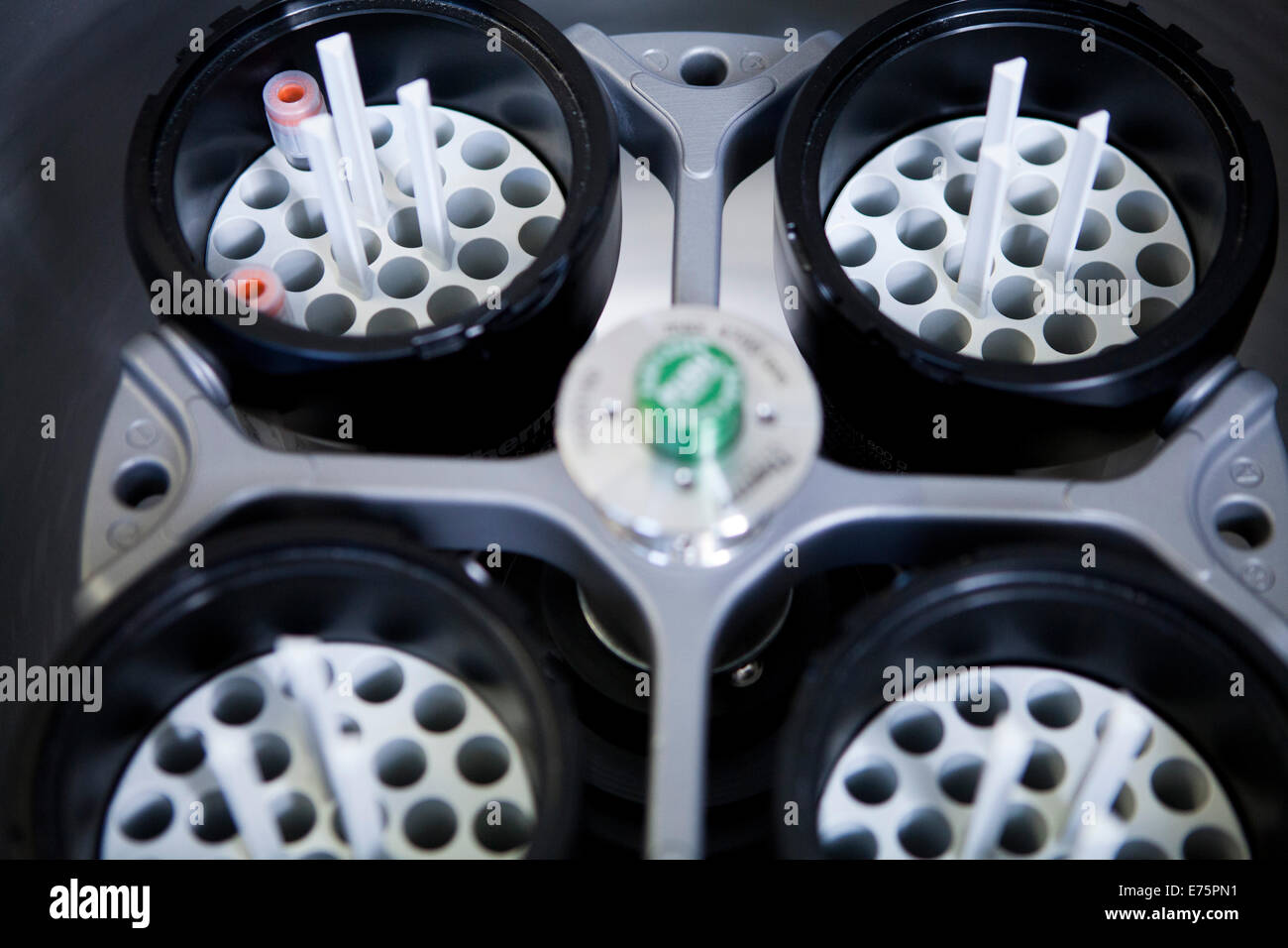 Detailed analysis hi-res stock photography and images - Alamy