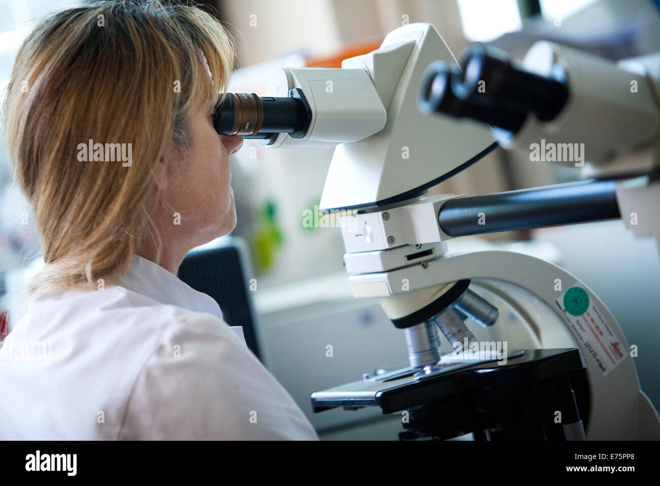 Cellular analysis hi-res stock photography and images - Alamy
