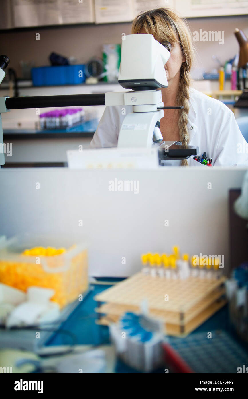 Cellular analysis hi-res stock photography and images - Alamy