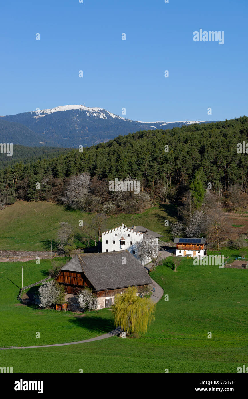 Old homestead, farm in spring, Eisack Valley, Kastelruth, Castelrotto, South Tyrol, Italy Stock Photo