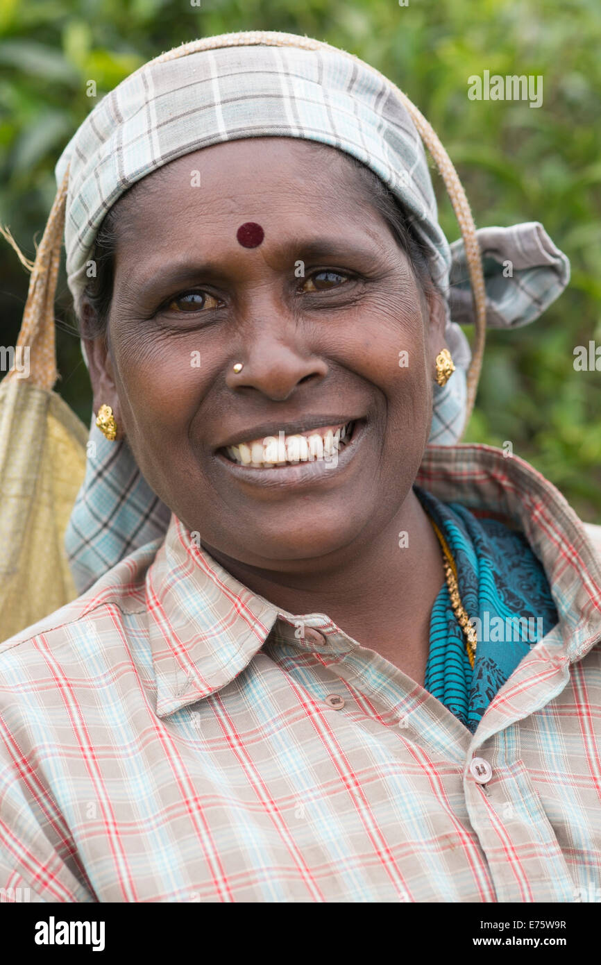 Tea picker wearing gold jewelry and a hat, portrait, Coonoor, Nilgiri mountains, Tamil Nadu, India Stock Photo
