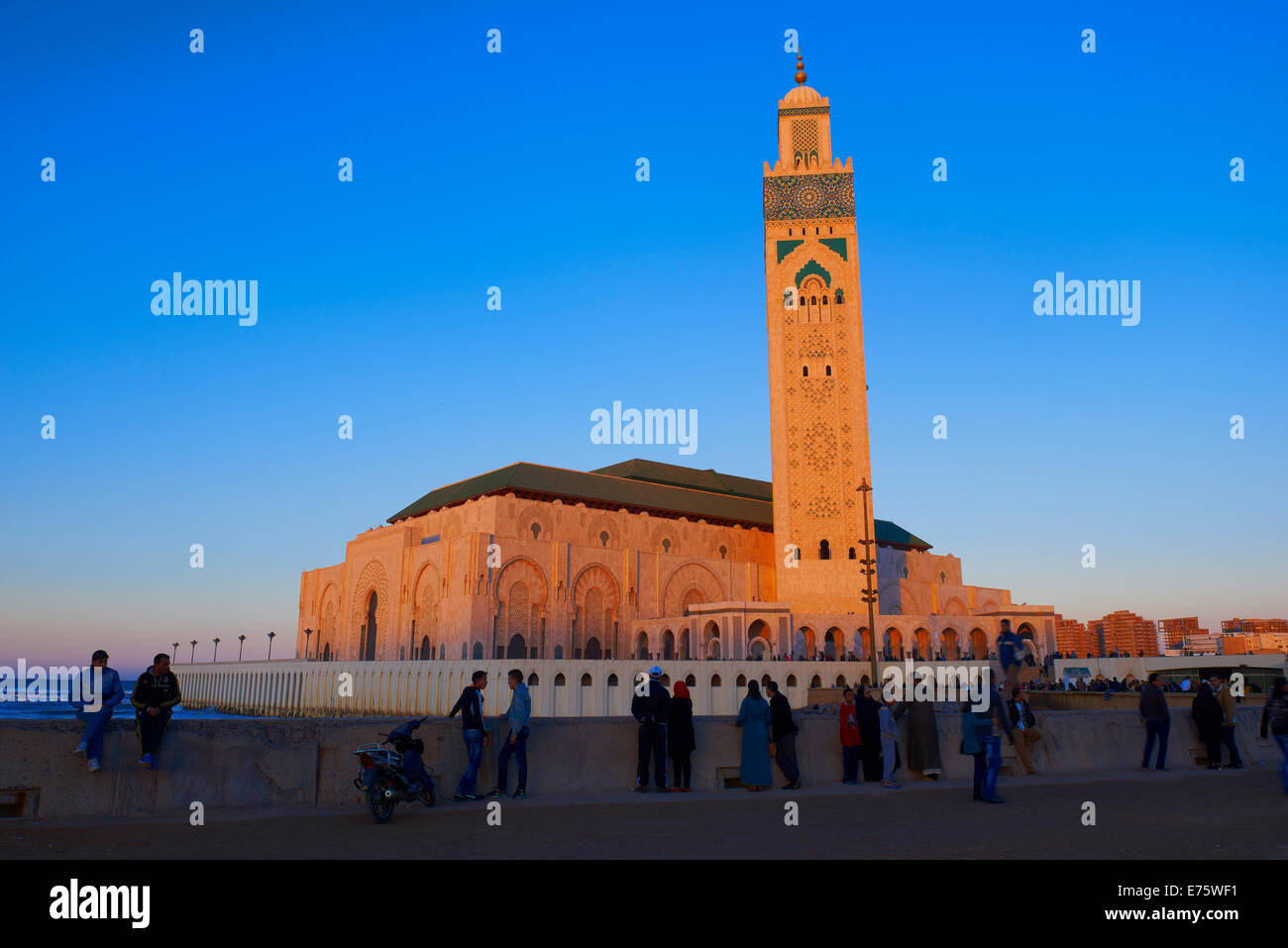 Hassan II Mosque in evening light, Casablanca, Morocco Stock Photo