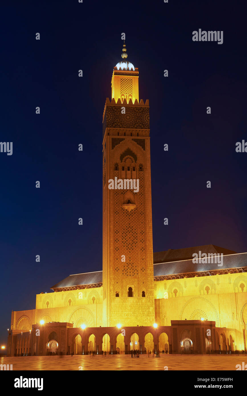 Hassan II Mosque at night, Casablanca, Morocco Stock Photo