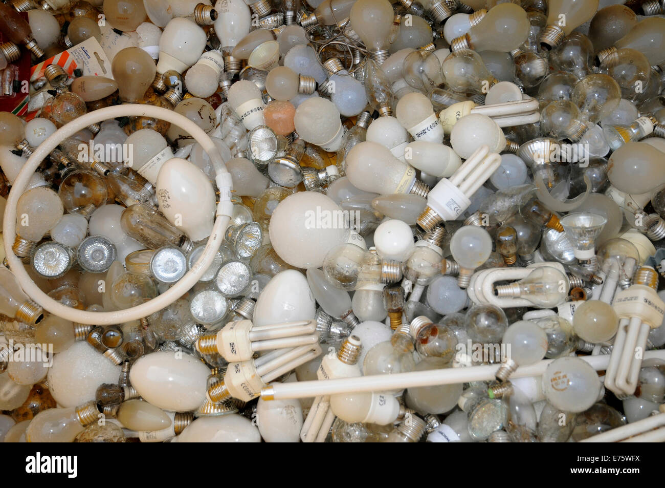 Lightbulbs for recycling, Sweden Stock Photo