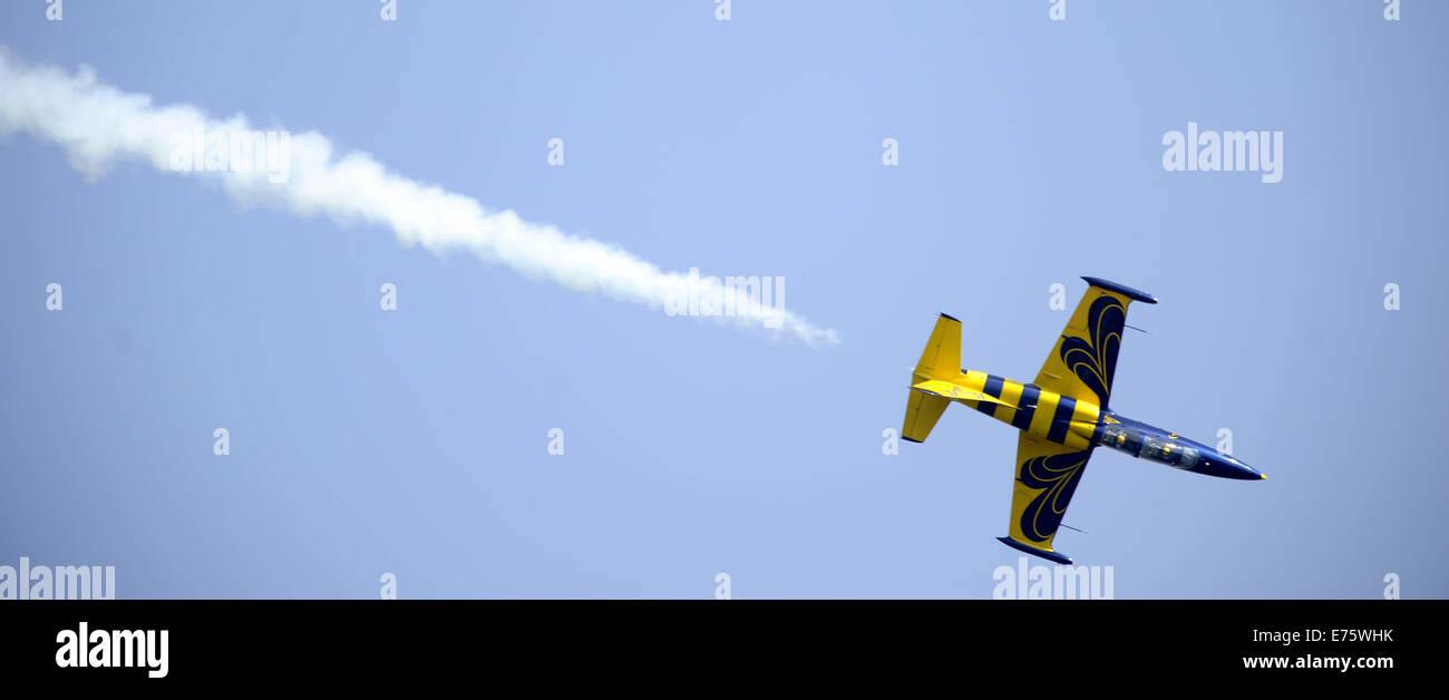Baltic bees aero l 39 albatros hi-res stock photography and images - Alamy