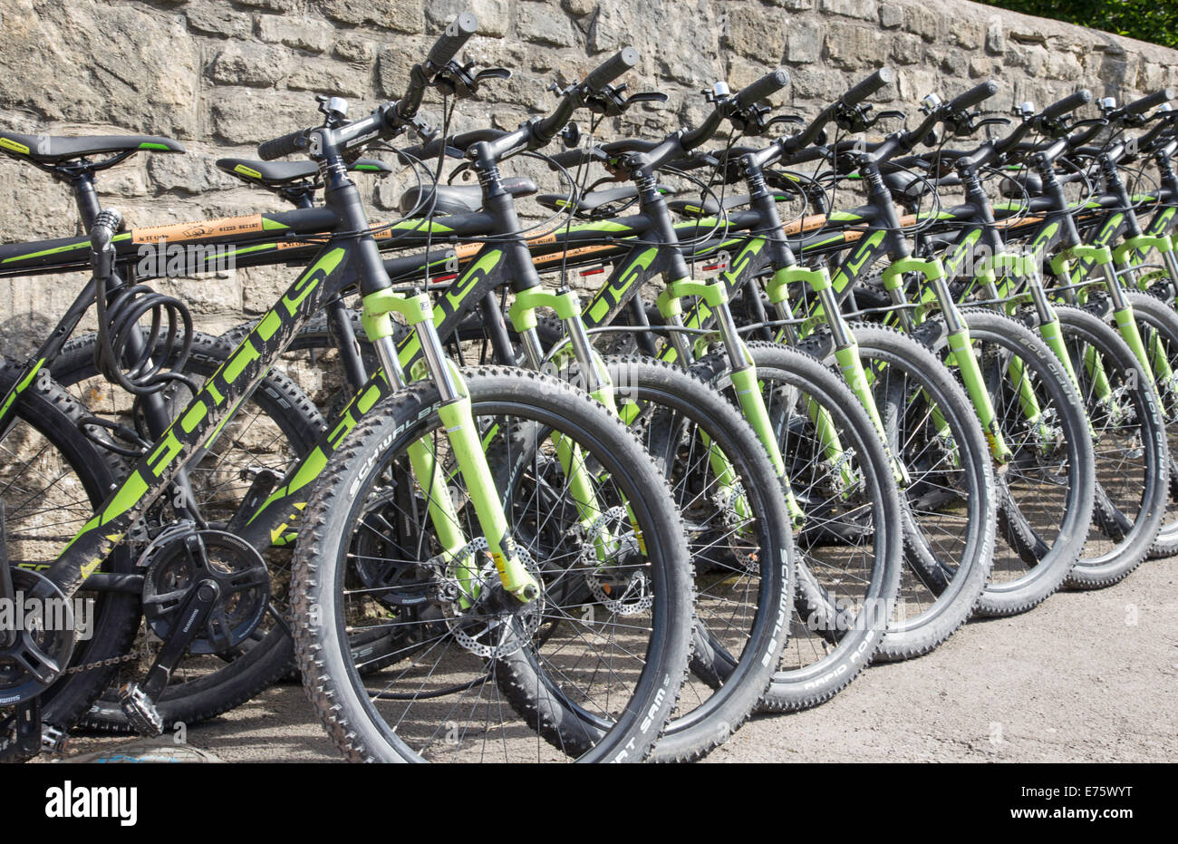 A row of Mountain Bikes for hire, England, UK Stock Photo