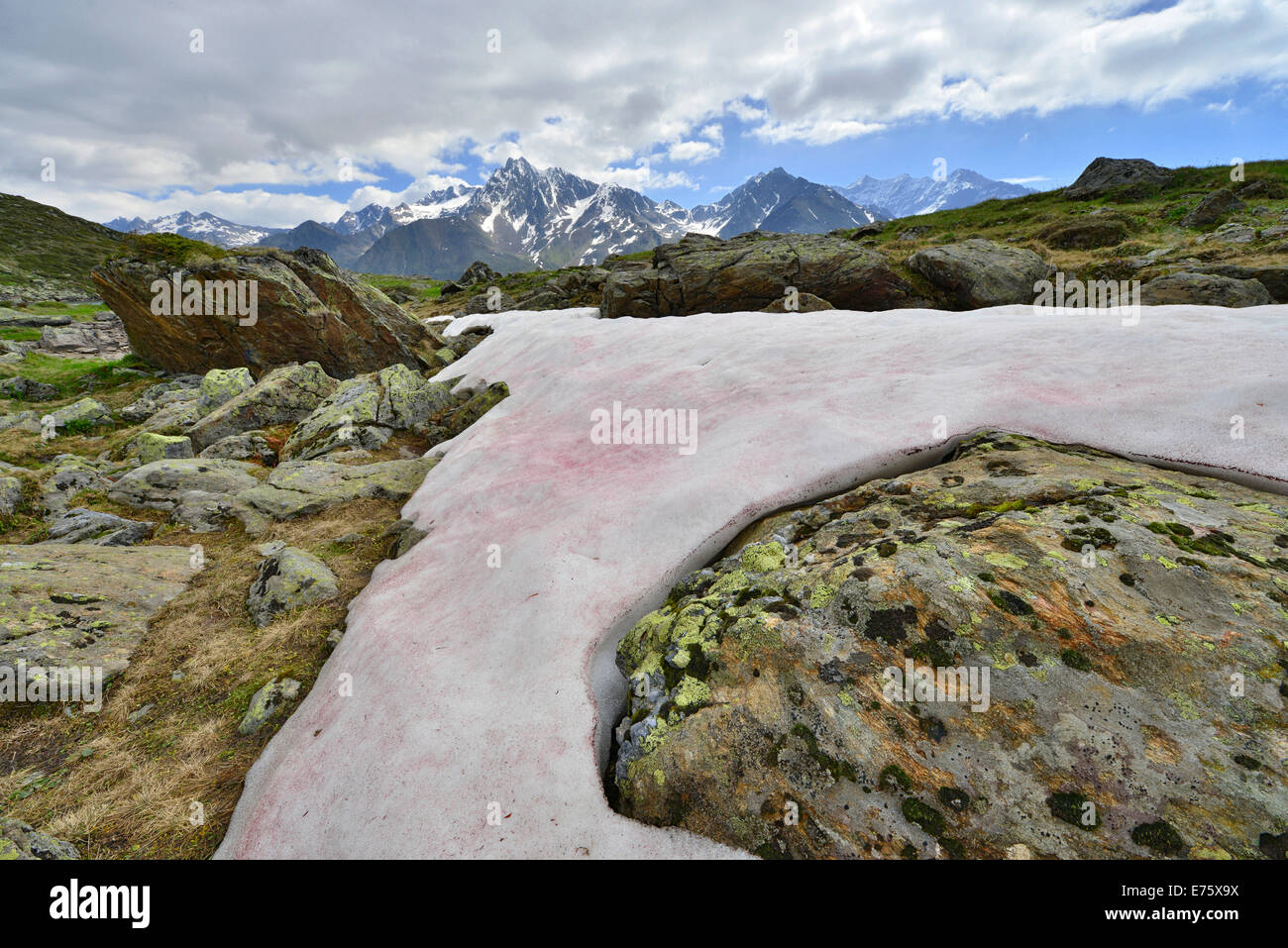 Snow Alga or Snow Algae (Chlamydomonas nivalis), Kaunergrat Range at the back, Seeles See lake, Kaunertal Valley, Tyrol, Austria Stock Photo