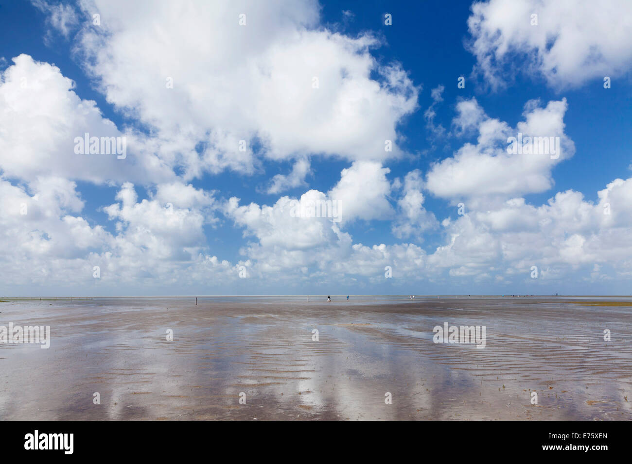 Wadden Sea at low tide, Westerheversand, Eiderstedt, Schleswig-Holstein, Germany Stock Photo