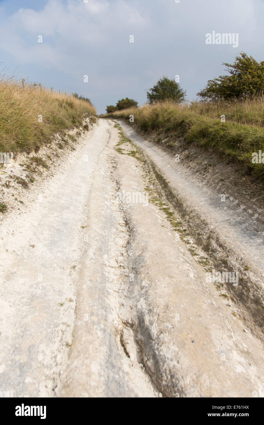 Part of the Ridgeway National Trail showing erosion from vehicles, Salisbury Plain, Wiltshire, England, UK Stock Photo
