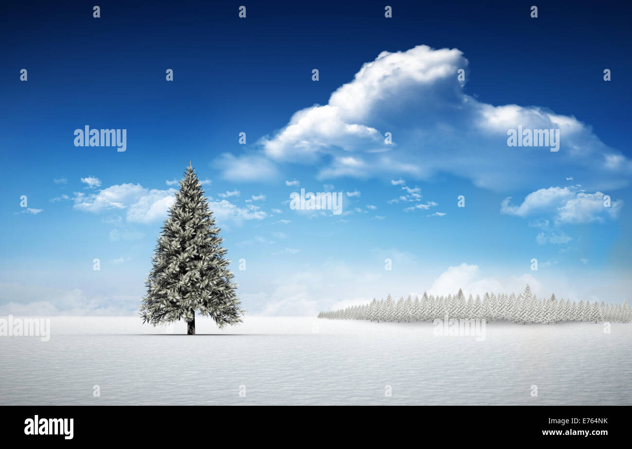 Fir tree in snowy landscape Stock Photo - Alamy