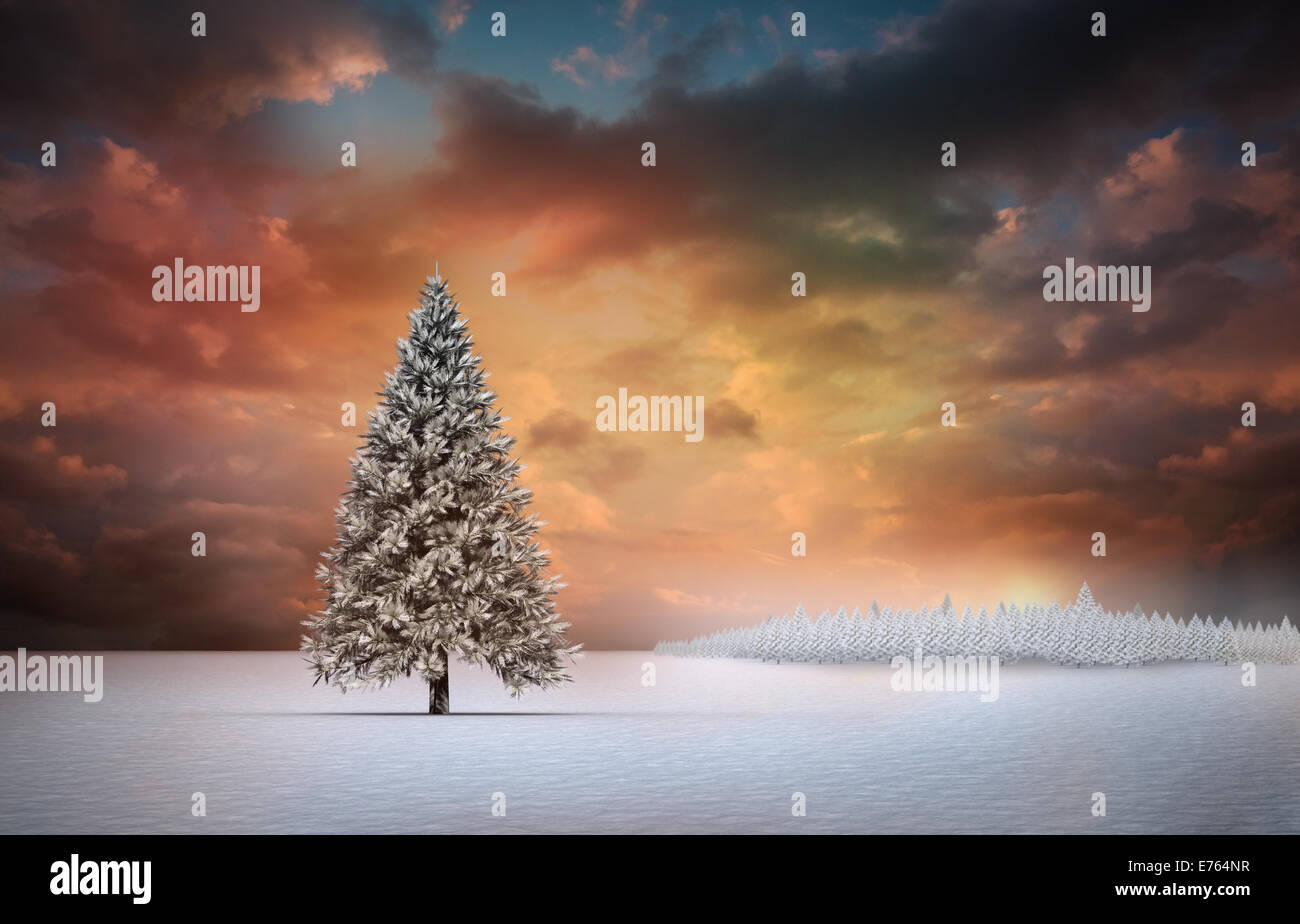Fir tree in snowy landscape Stock Photo - Alamy