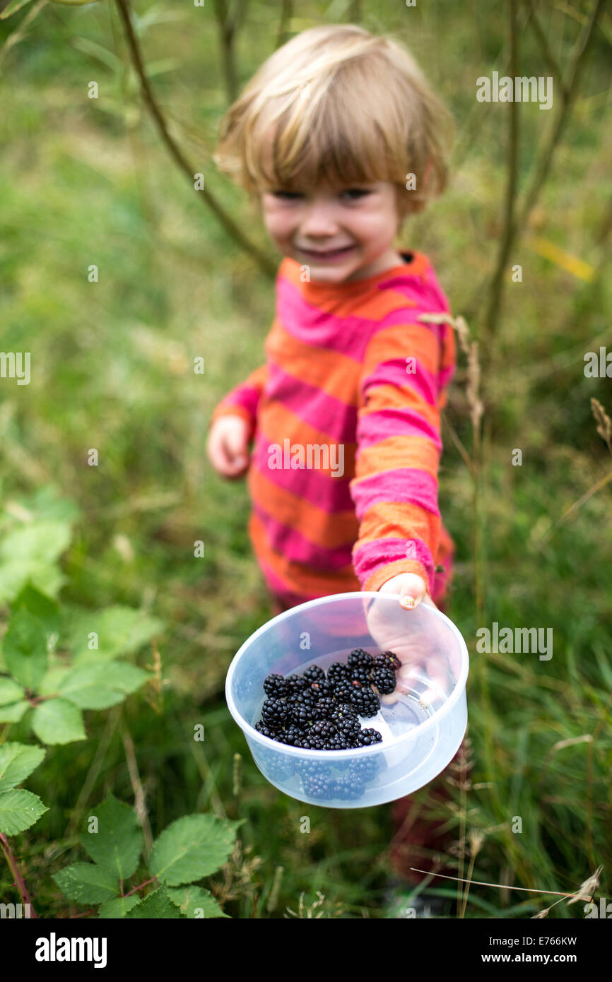 Young Boy picking Blackberries Stock Photo Alamy