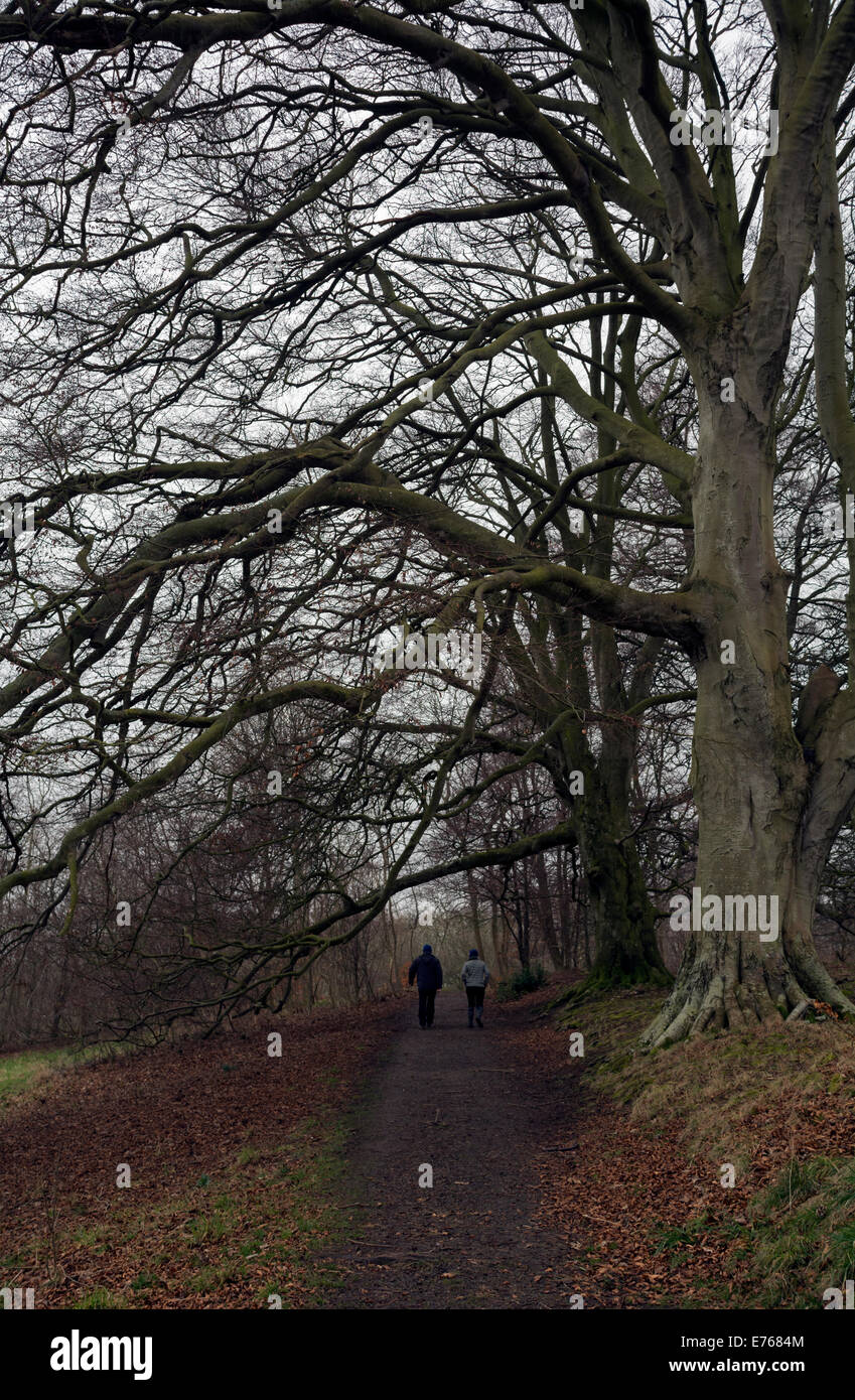 A man and a young girl enjoying a winter walk through woodland. Stock Photo