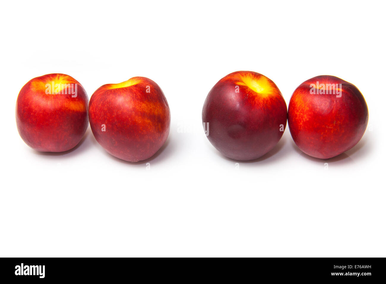 Nectarines isolated on a white studio background Stock Photo Alamy