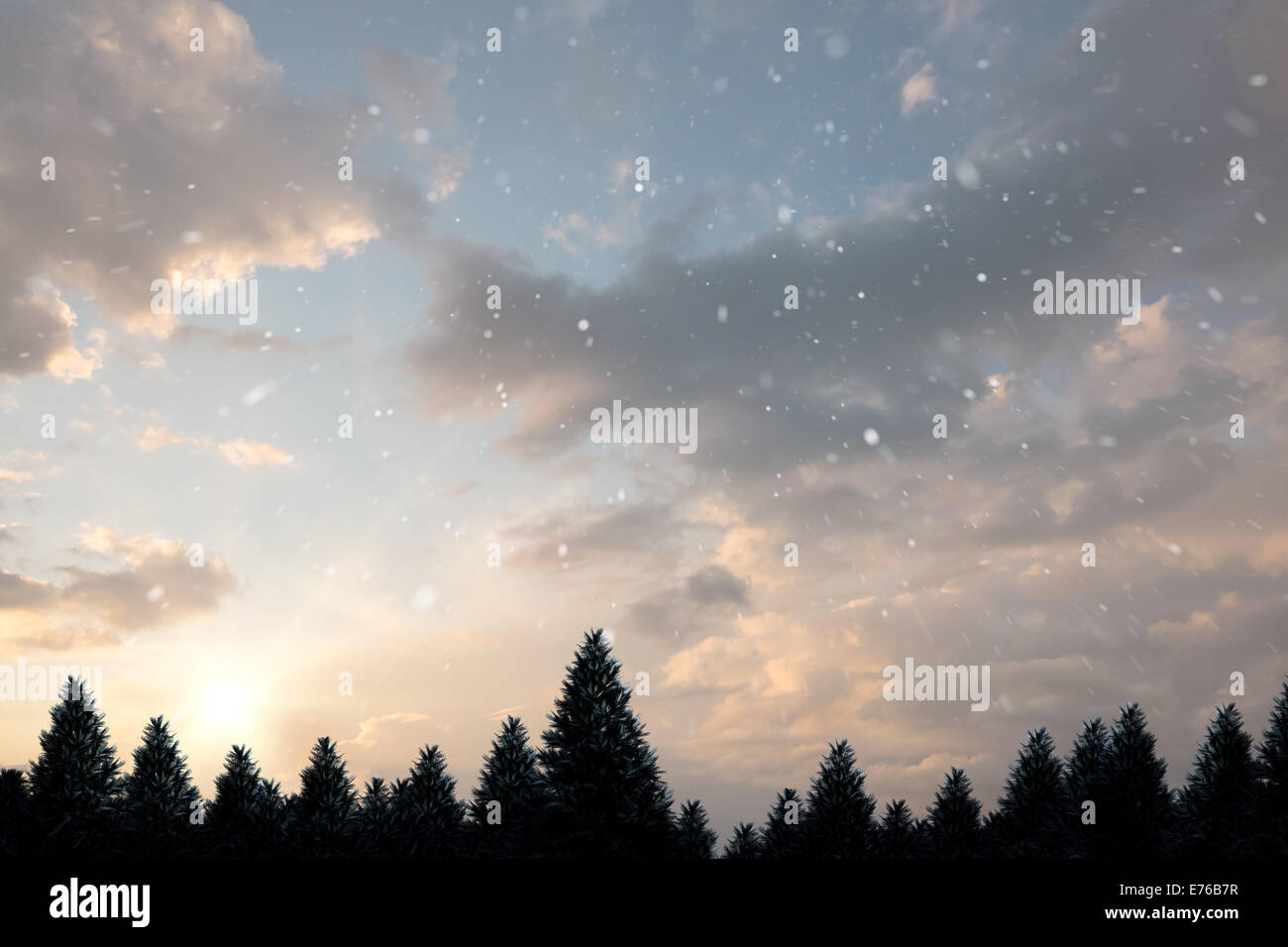 Woods in falling snow hi-res stock photography and images - Alamy