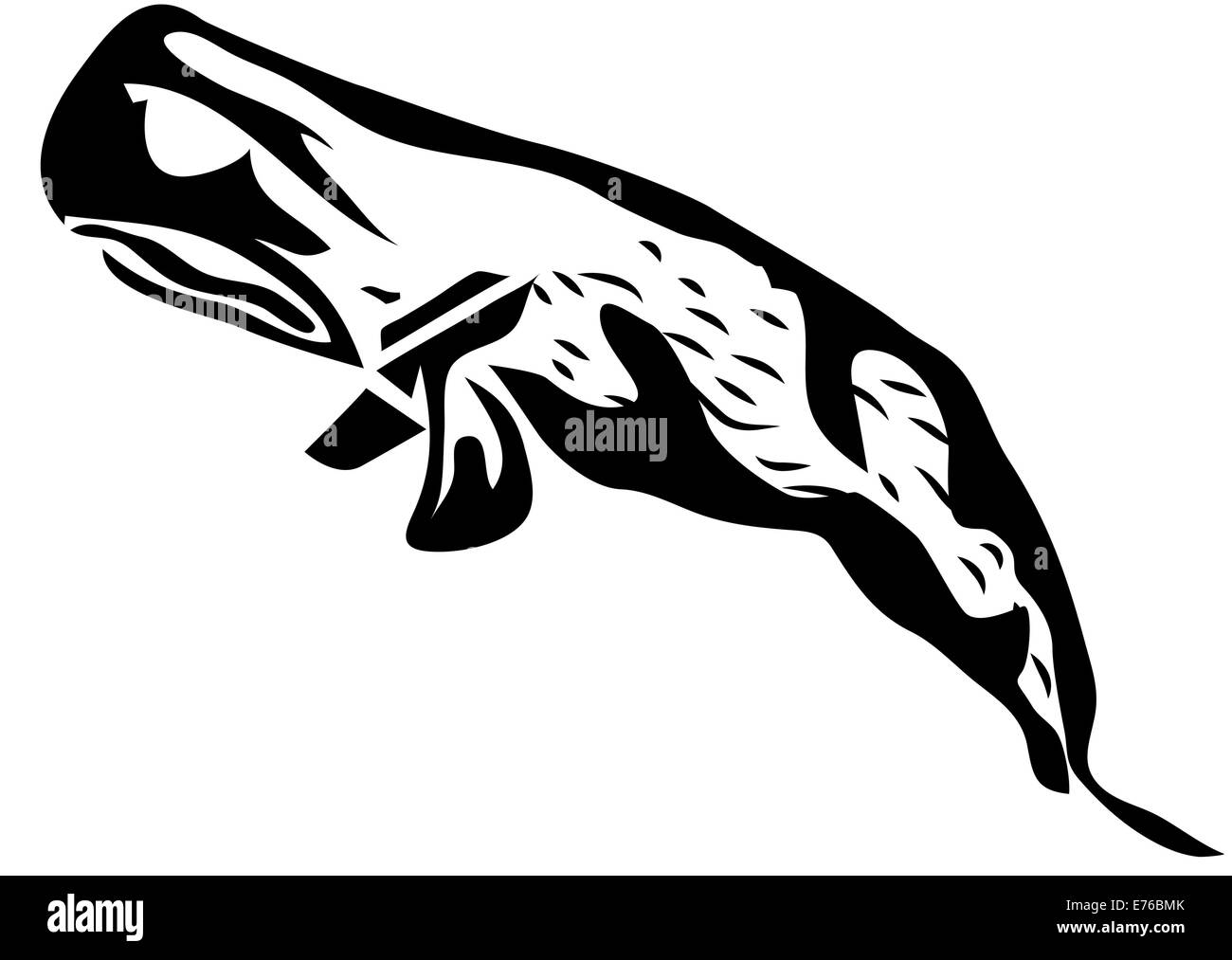 sperm whale Stock Photo - Alamy
