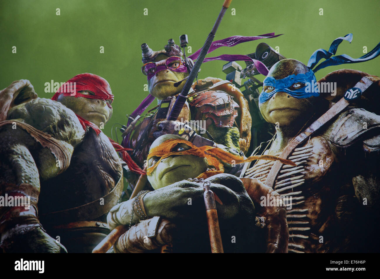 Ten Inch Mutant Ninja Turtles Cast