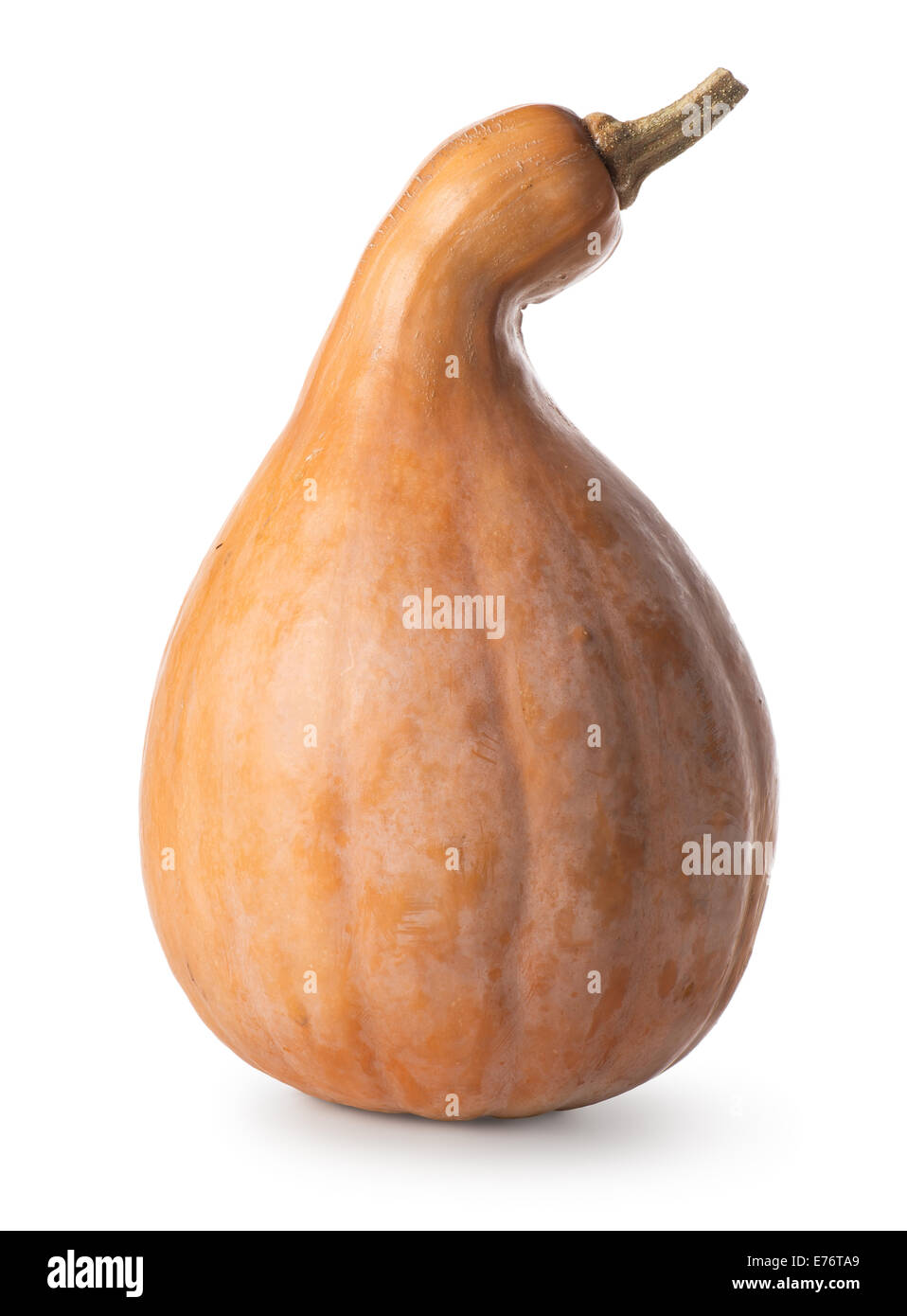 Orange pumpkin isolated on a white background Stock Photo - Alamy