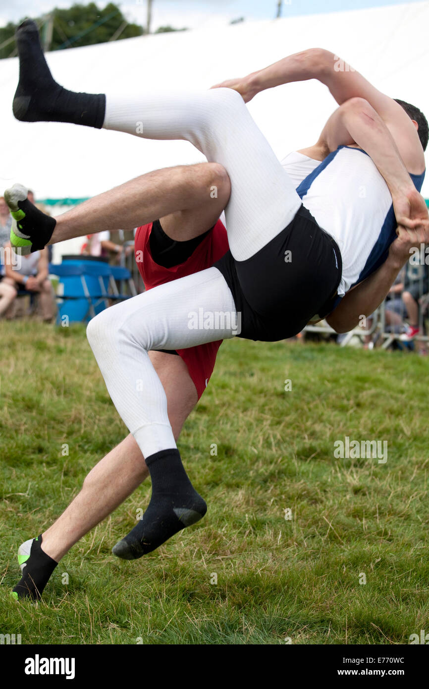 Cumberland westmorland cumbrian wrestling hires stock photography and