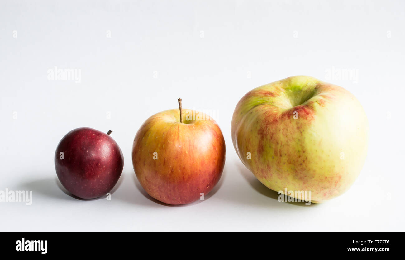 Big Small Apple Stock Illustrations – 486 Big Small Apple Stock
