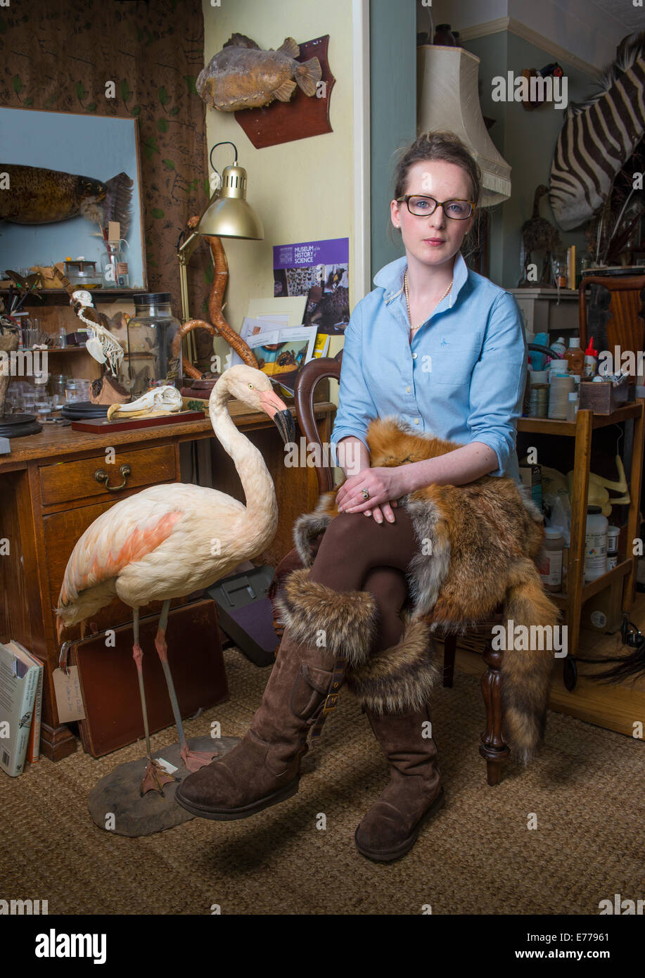 taxidermy stuffed animal heads