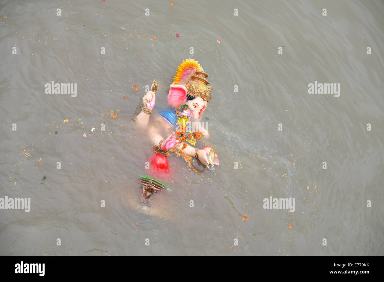 Ahmedabad, Gujarat/India. 8th Sep, 2014.  Hindu god Ganesh, the deity of prosperity, into the Sabarmati river for its immersion during the ten-day-long Ganesh Chaturthi festival, in Ahmedabad,India. Credit:  Nisarg Lakhmani/Alamy Live News Stock Photo