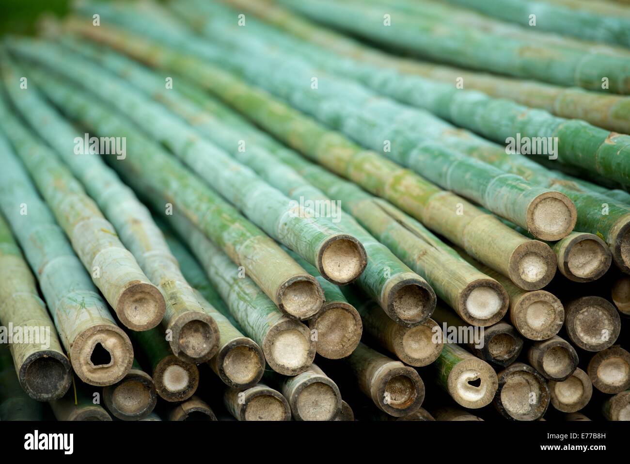 Bamboo construction hires stock photography and images Alamy