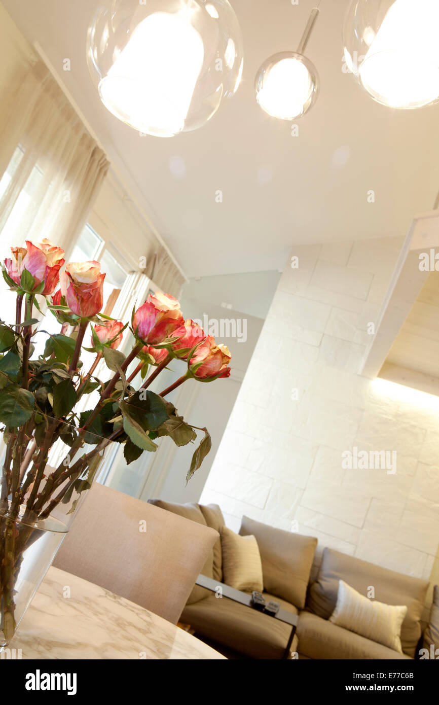 Contemporary Living room detail Stock Photo