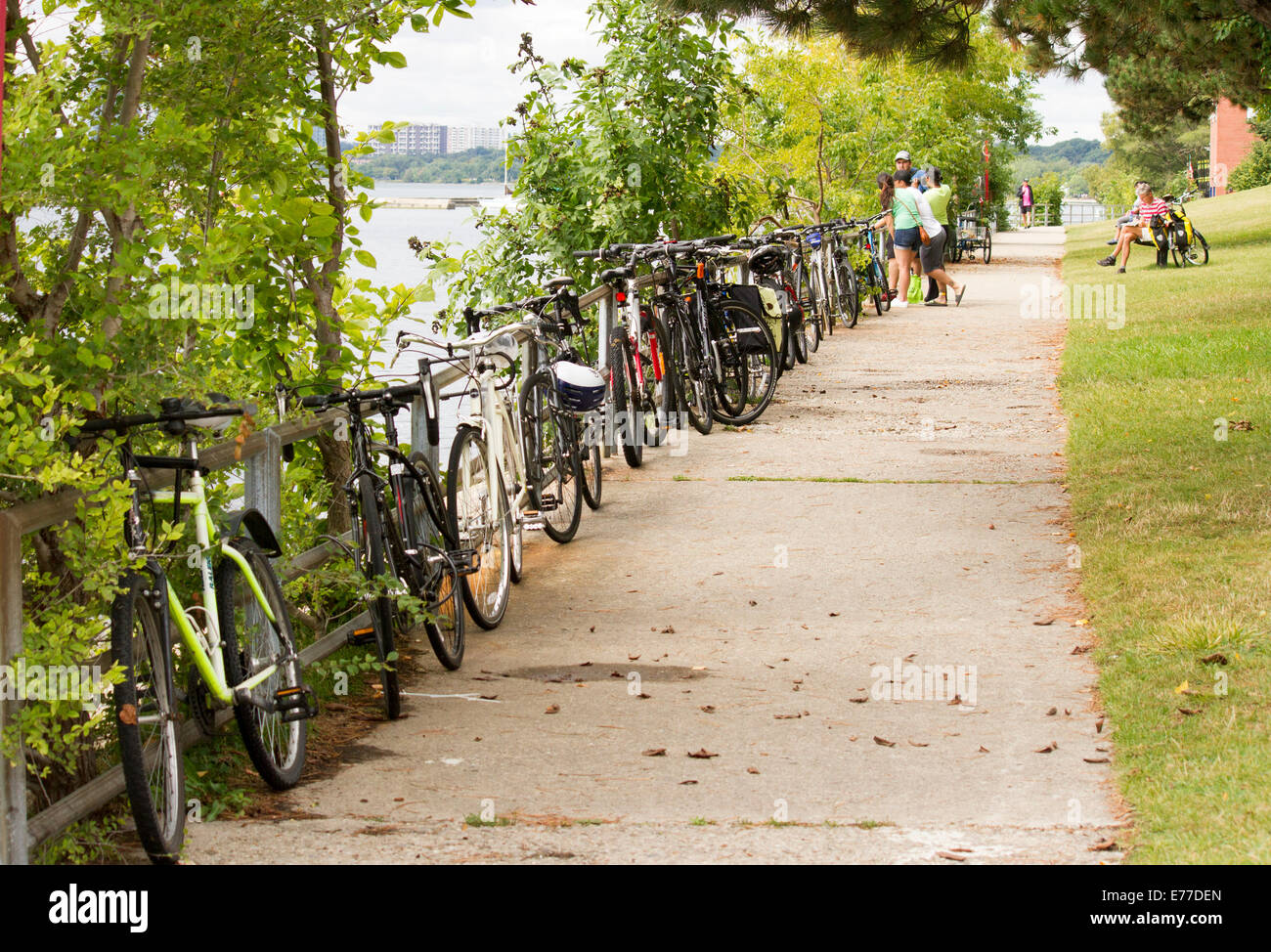 Bicycles line the edge of the boardwalk along Lake Ontario in Marilyn Bell Park in Toronto Ontario Canada Stock Photo