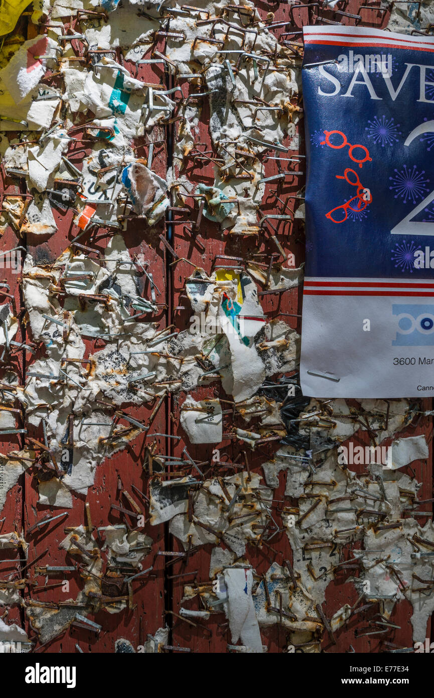 Detail Of Staples On College Campus Bulletin Board Stock Photo