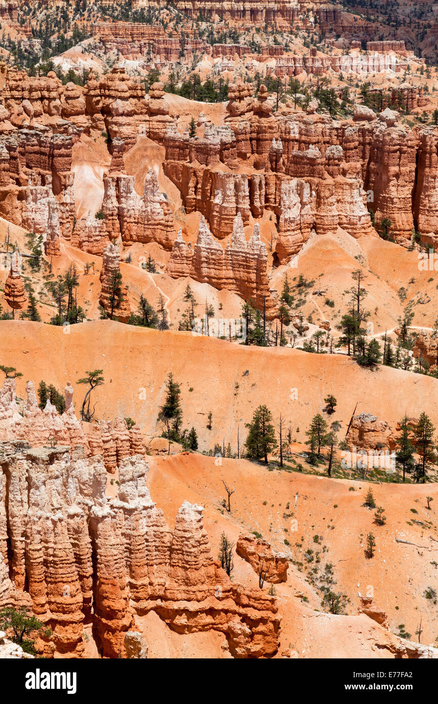 Orange limestone hoodoos geological features in the western United States. Stock Photo