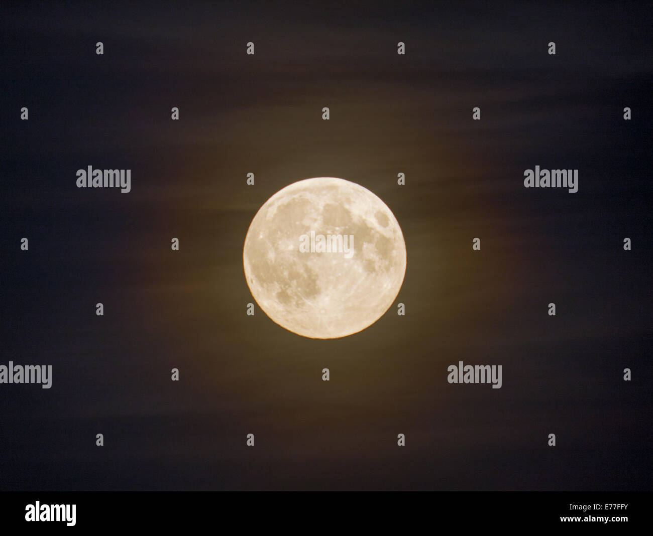 Wimbledon, SW London, UK. 8th September 2014. A Harvest Full Moon in misty night sky in the eastern sky over London. Credit:  Malcolm Park editorial/Alamy Live News. Stock Photo