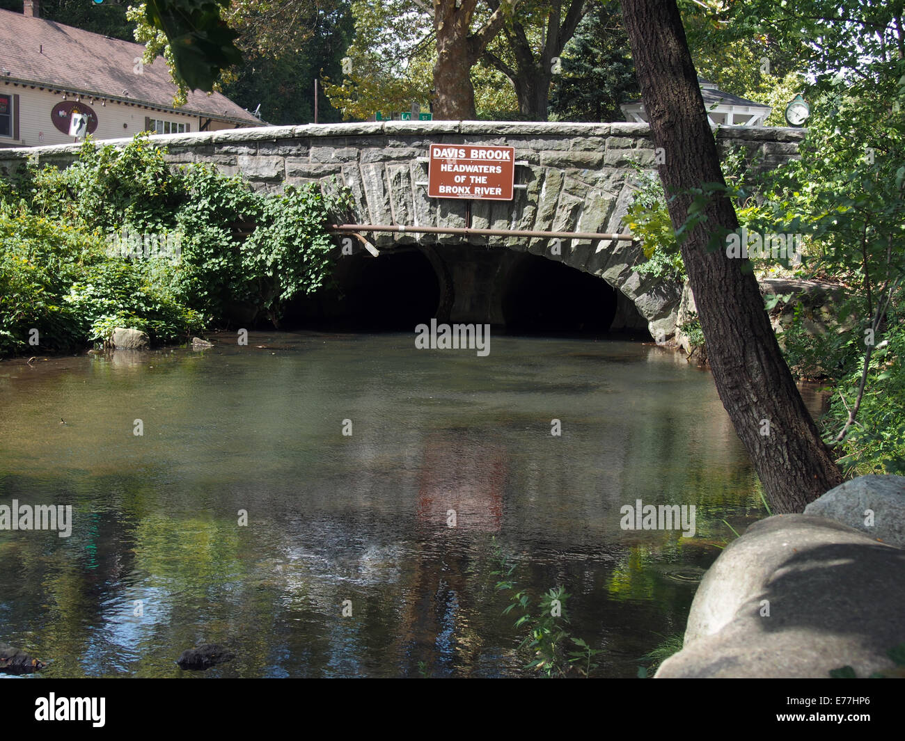 Davis Brook at the Headwaters of the Bronx River in Valhalla, New York