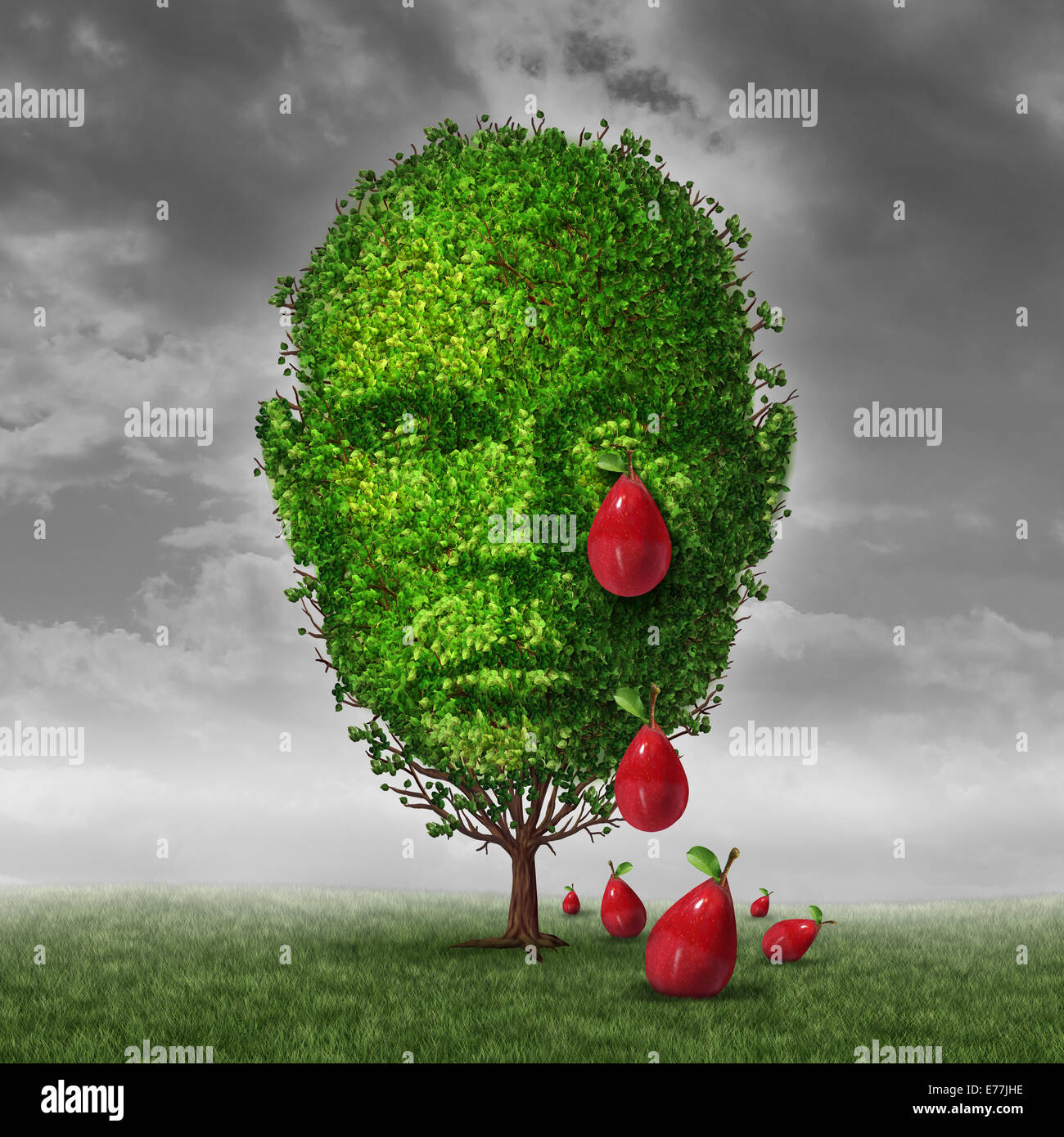 Depression and mental health concept as a tree shaped as a human head that is crying fruit shaped as tear drops as a metaphor for being depressed postpartum or sadness in the mature age. Stock Photo