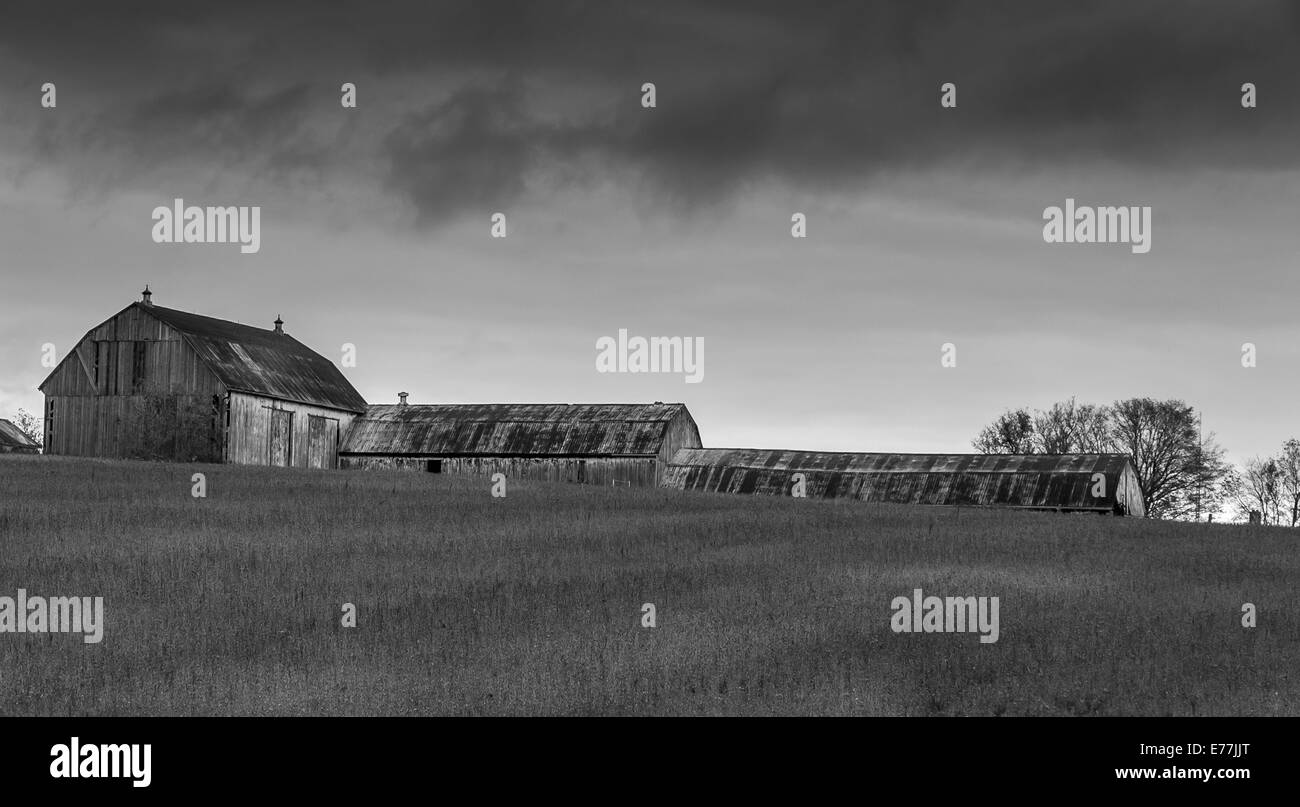 A black and white photo of a old barn in a field on with dark clouds over head. Stock Photo