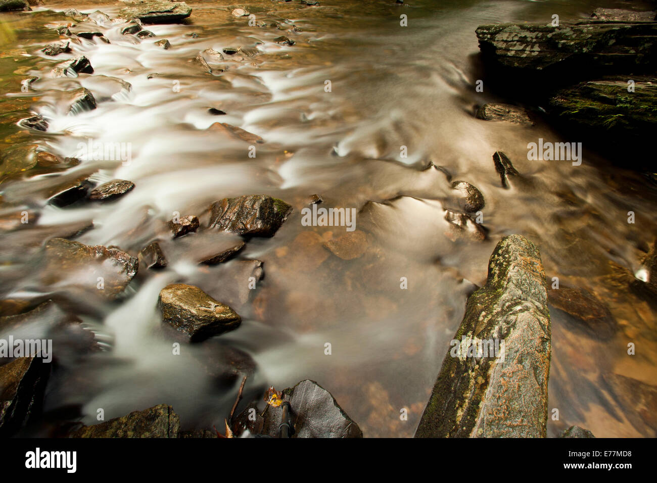 Stream by Looking Glass Falls - Pisgah National Forest - near Brevard, North Carolina USA Stock Photo