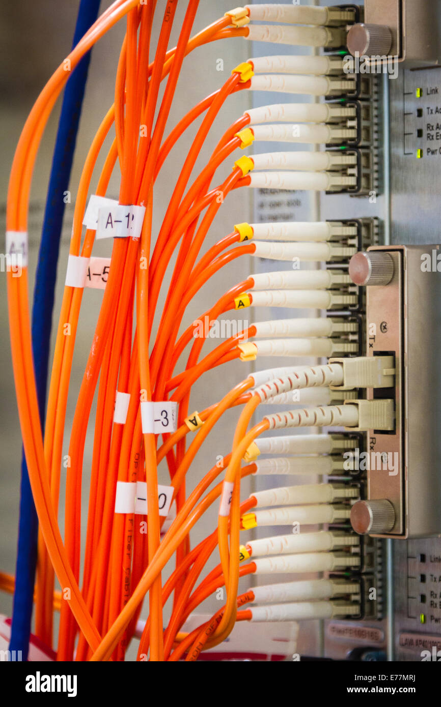 Fiber cables plugged into a high end router machine at a computer data  center supporting cloud computing Stock Photo - Alamy