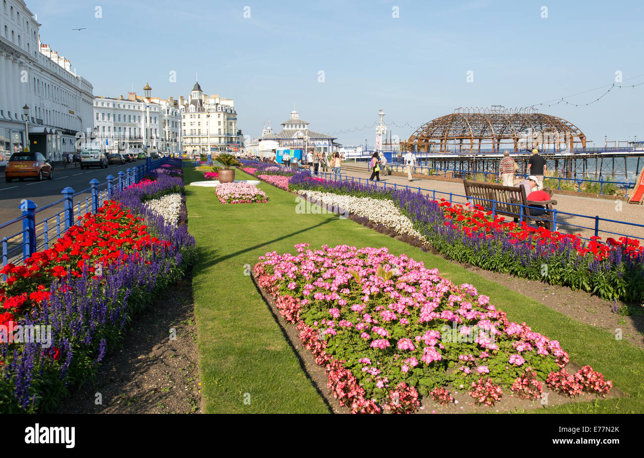 Flower Gardens Eastbourne Seafront UK Stock Photo Alamy
