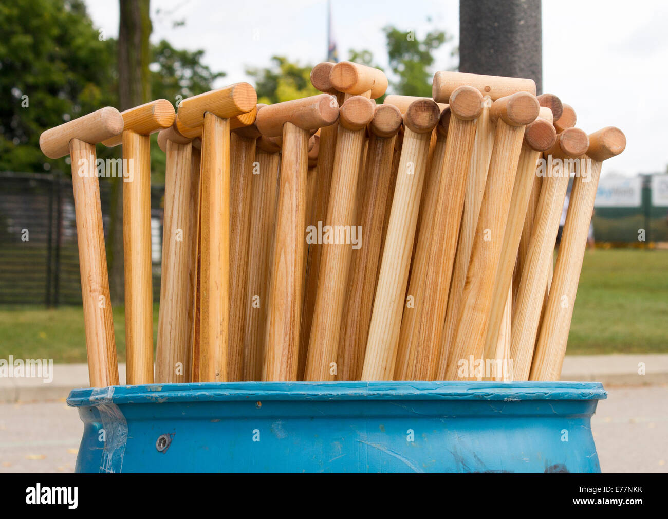 Tub of rowing oars for Dragon Boats Stock Photo