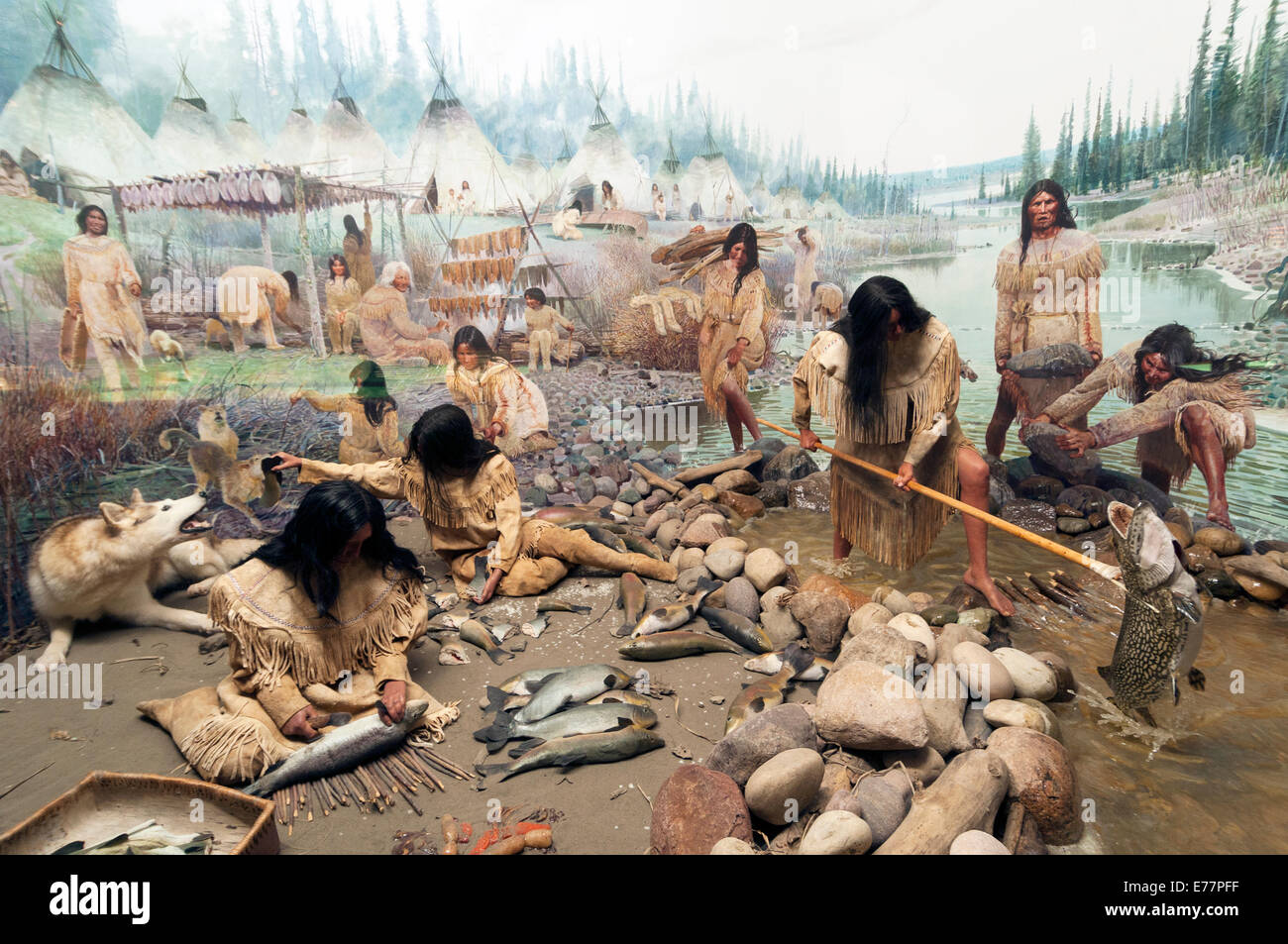 Elk203-5286 Canada, Alberta, Edmonton, Royal Alberta Museum, Indian camp diorama Stock Photo