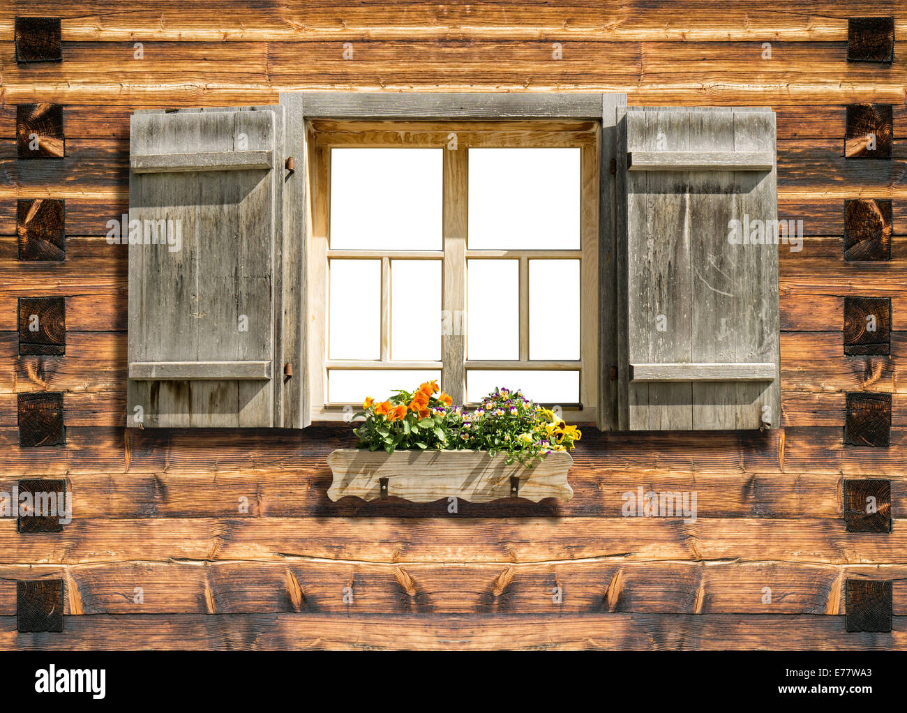 рябина у забора. деревенское окно. деревенский домик. фон мазанки с окнами. сад в окне.