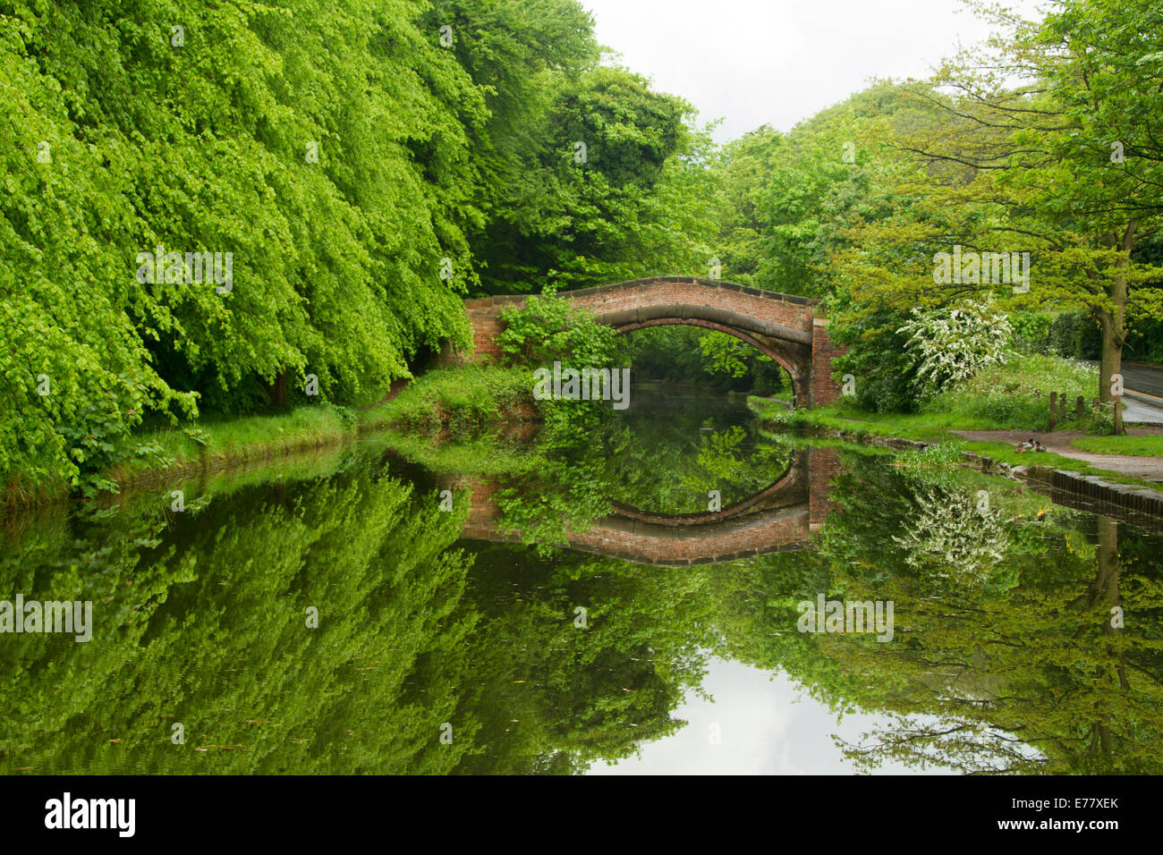 English woodlands and historic arched red brick bridge over Llangollen canal reflected in mirror surface of calm water Stock Photo