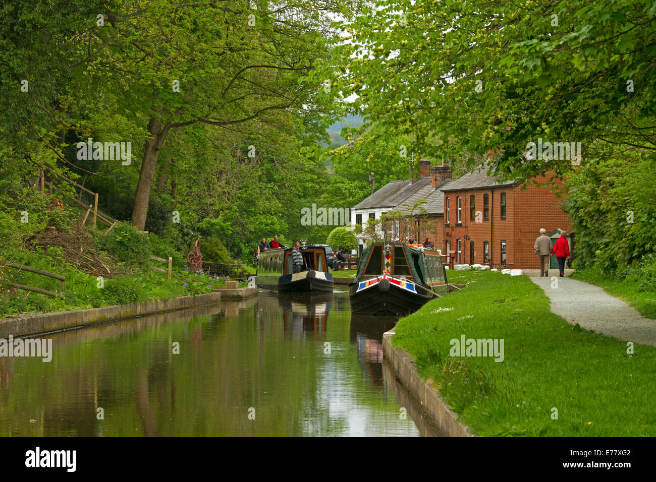 Narrowboats on calm waters of Llangollen canal shaded by huge evergreen trees and beside buildings of English waterfront village Stock Photo