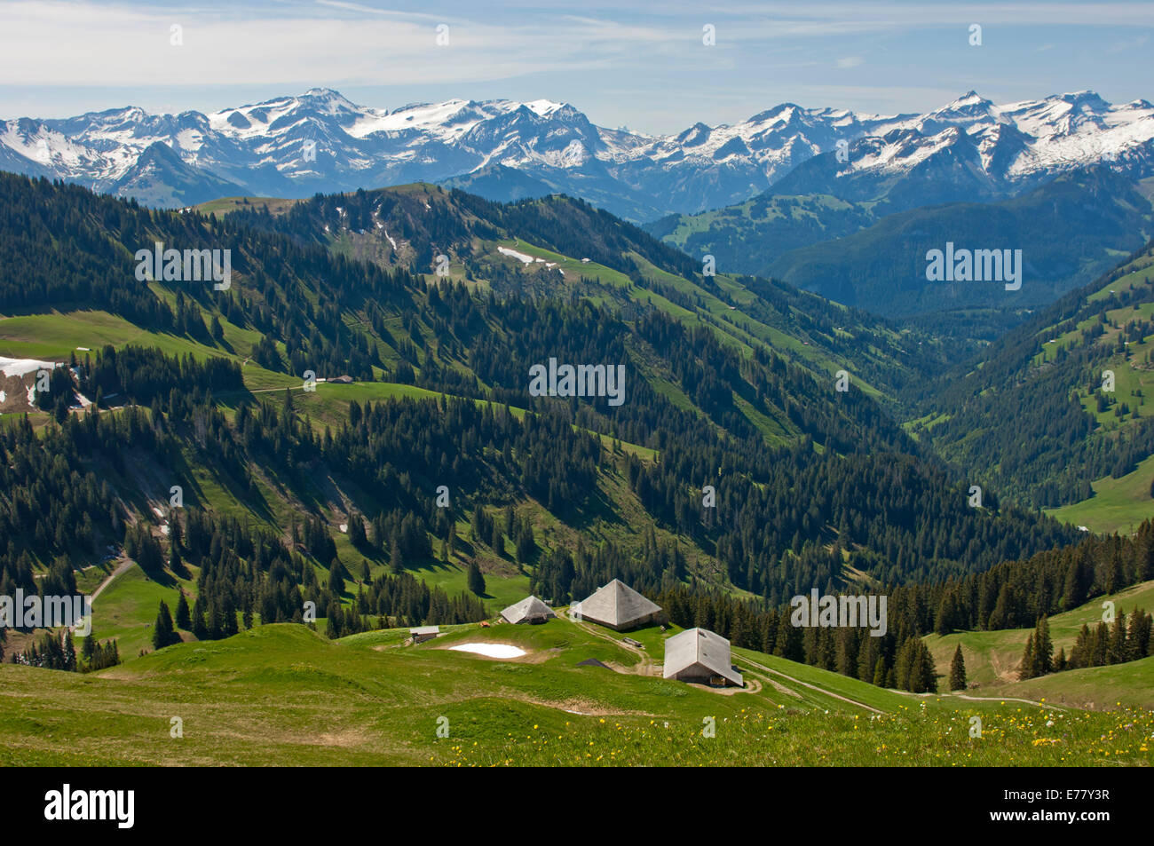 Pre-alpine landscape with alpine cabins, the snow-capped Bernese Alps at the back, near Abländschen, Saanen, Canton of Bern Stock Photo