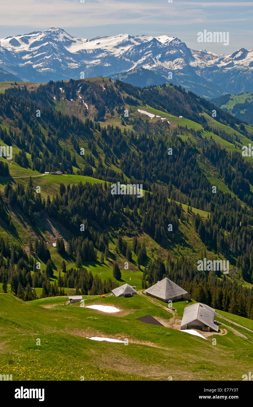 Pre-alpine landscape with alpine cabins, the snow-capped Bernese Alps at the back, near Abländschen, Saanen, Canton of Bern Stock Photo