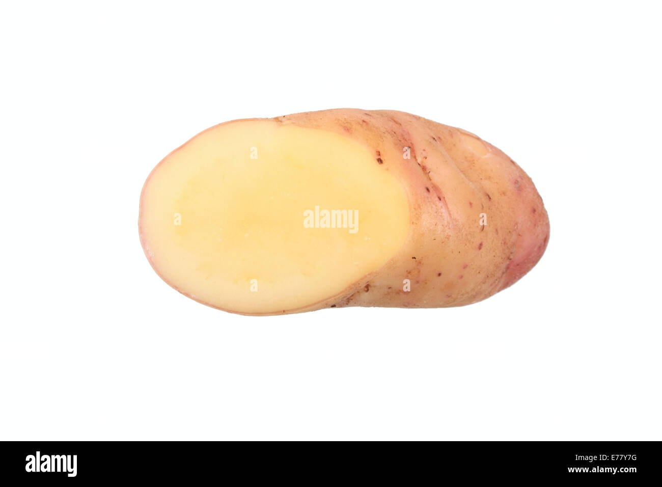 Potato, 'Bamberger Hörnchen' variety, cut in half Stock Photo