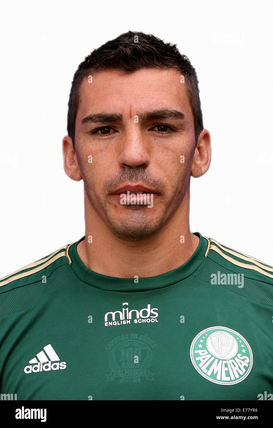 Brazilian Football League Serie A / ( Sociedade Esportiva Palmeiras