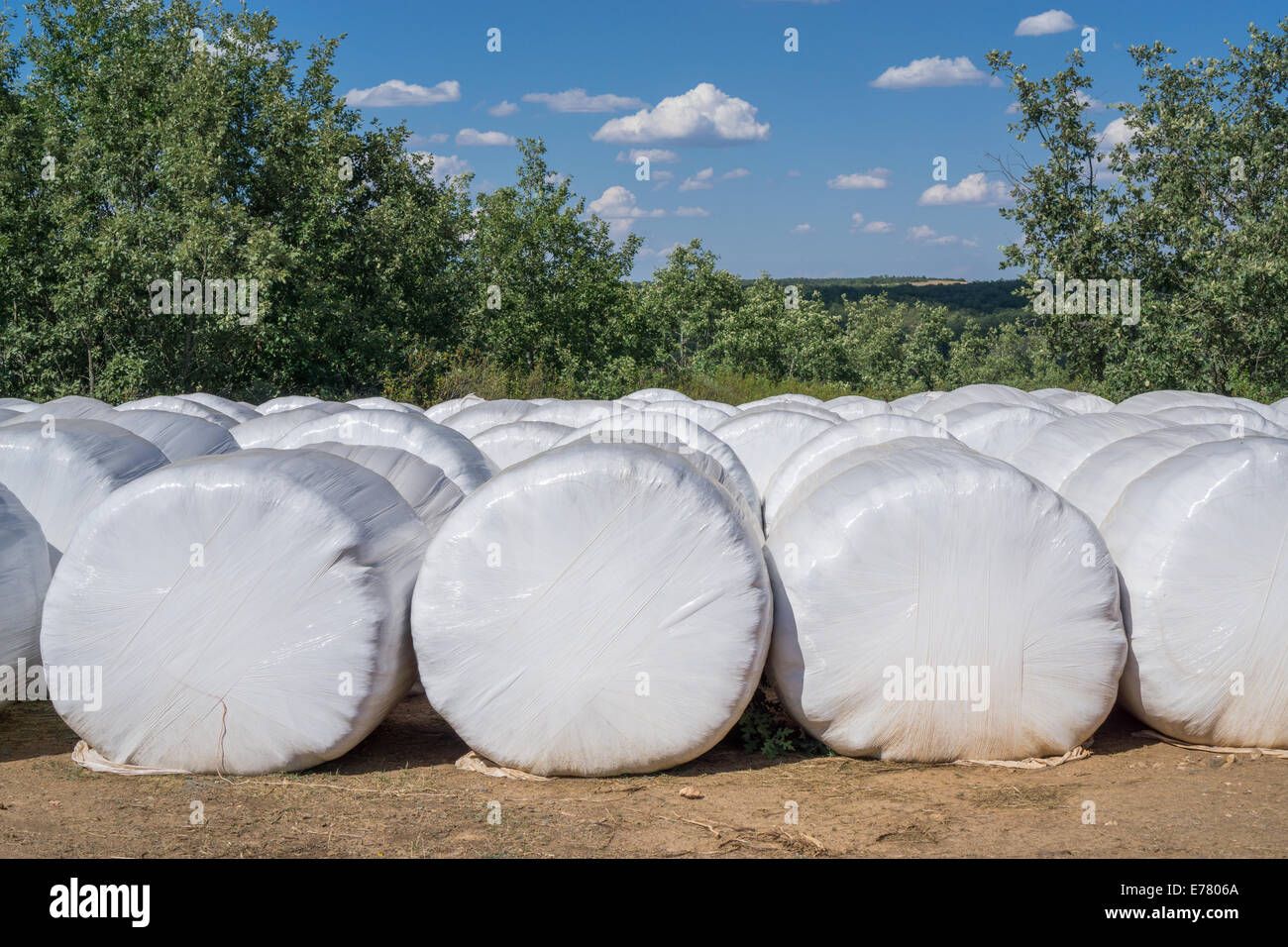 Bales of straw Stock Photo Alamy