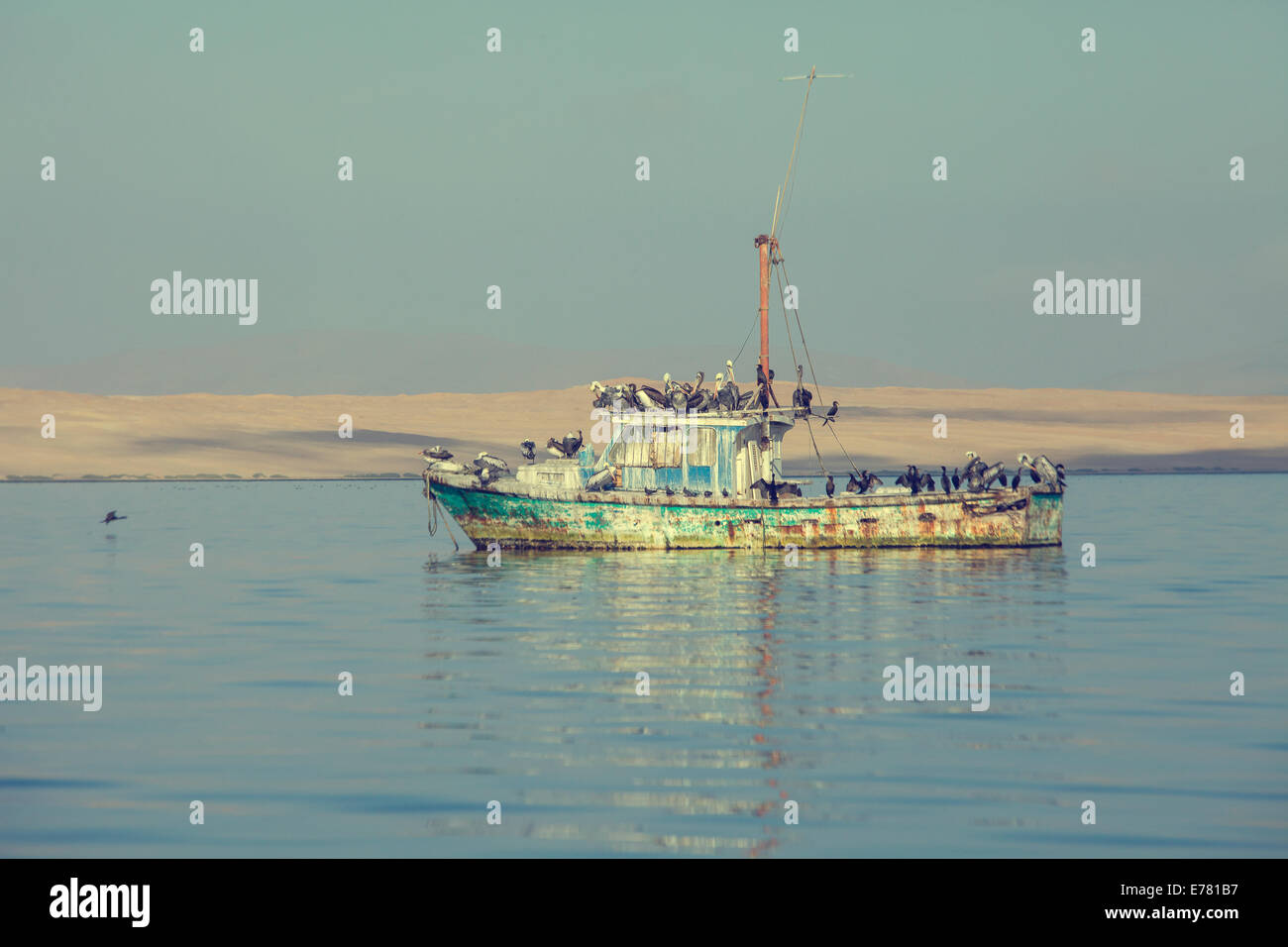 Pelicans standing on fisher boat hi-res stock photography and images ...