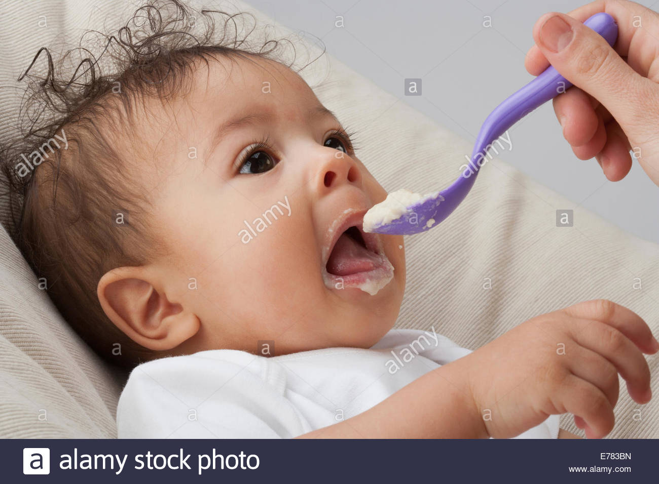 Hand Feeding Stock Photos & Hand Feeding Stock Images Alamy
